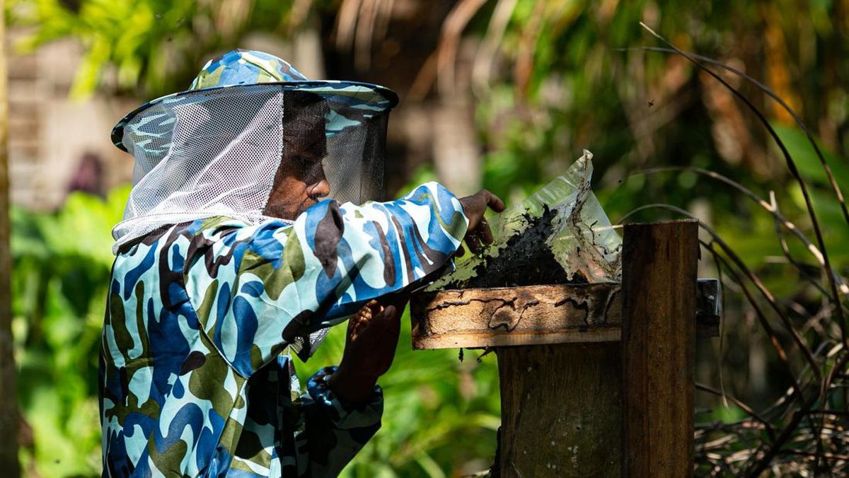Apical2030: Dari Sawit ke Madu demi Lingkungan dan Kesejahteraan